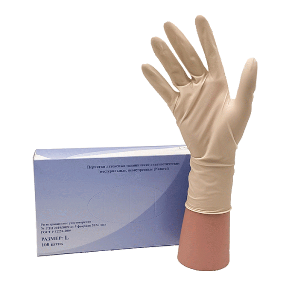 photo_2024-11-21_10-31-47