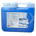 Дезинфицирующее средство Мистраль 5л