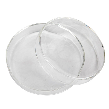 Чашка Петри 100х20мм, стекло