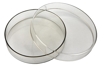 Чашка Петри 90х18мм стекло