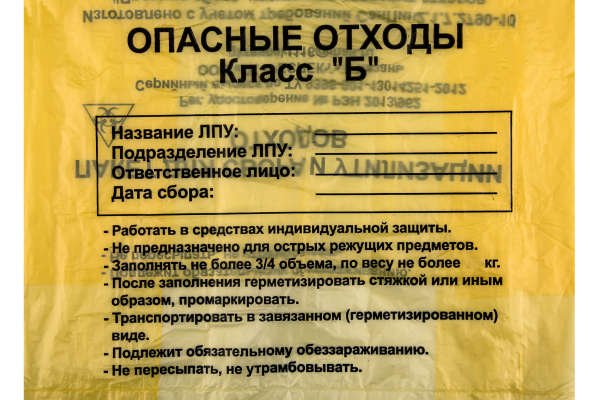 440A8595